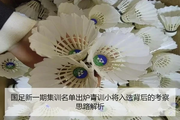 国足新一期集训名单出炉青训小将入选背后的考察思路解析